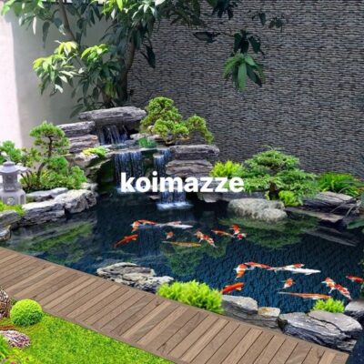 galeri koi (7) galeri koi (7)
